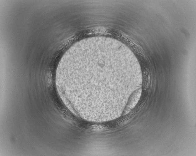 X0000115510704200912181445