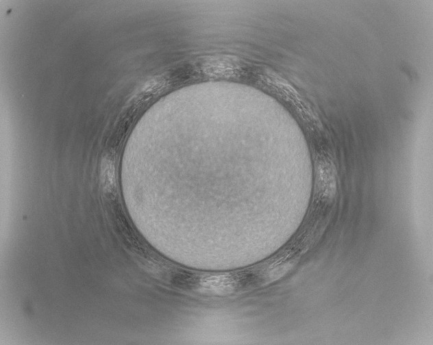 X0000115510705200912181445