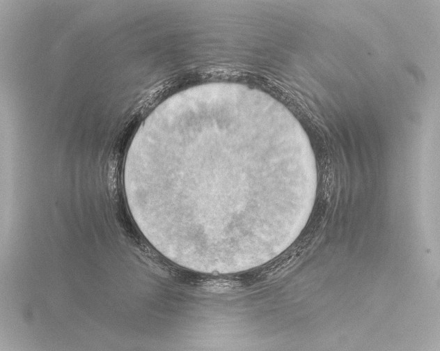 X0000115510708200912181445