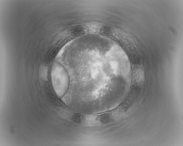 X0000115510709200912181445