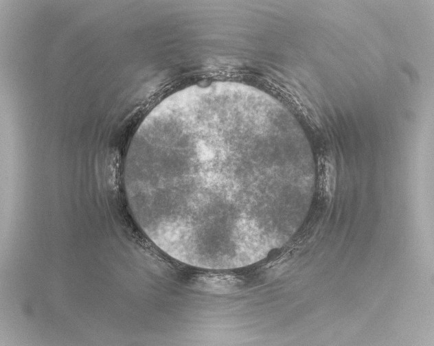 X0000115510712200912181445