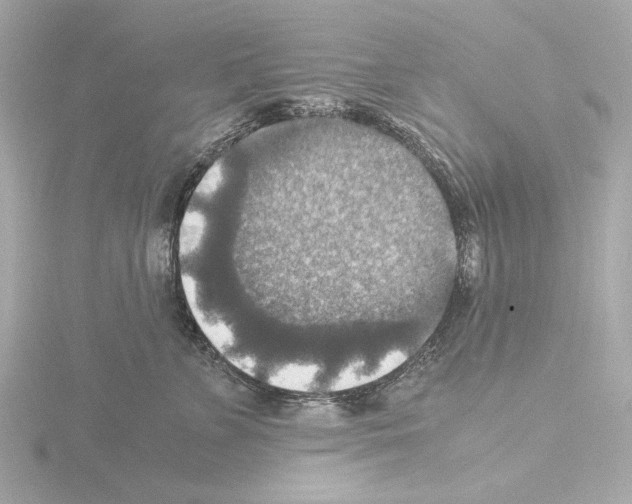 X0000115510715200912181445