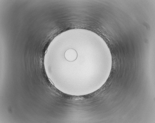 X0000115510716200912181445