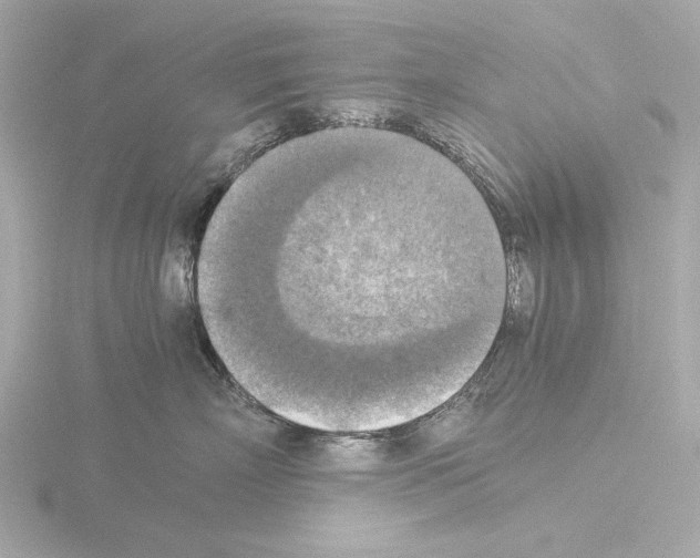 X0000115510718200912181445