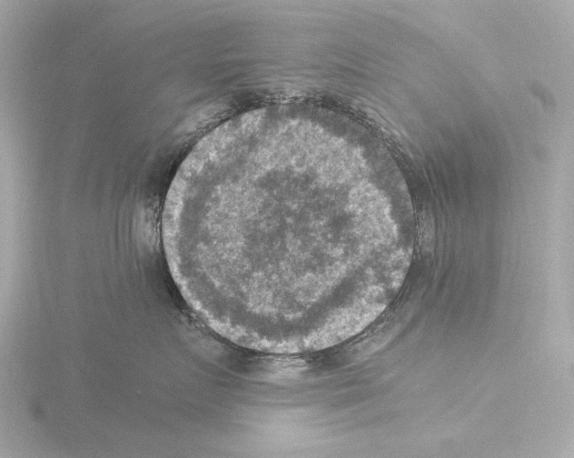 X0000115510719200912181445