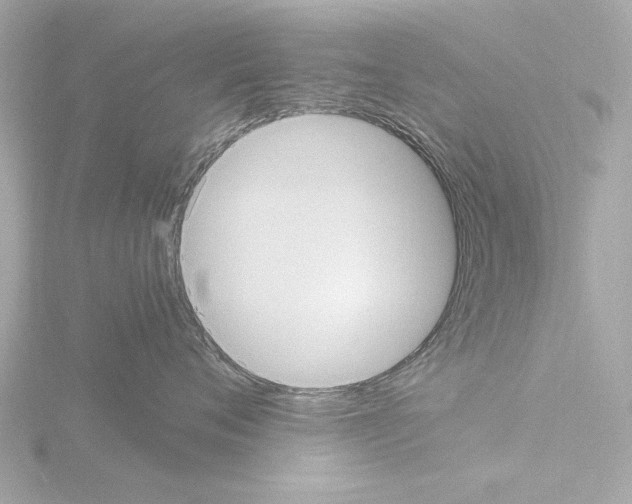 X0000115510720200912181445