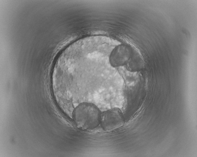 X0000115510721200912181444