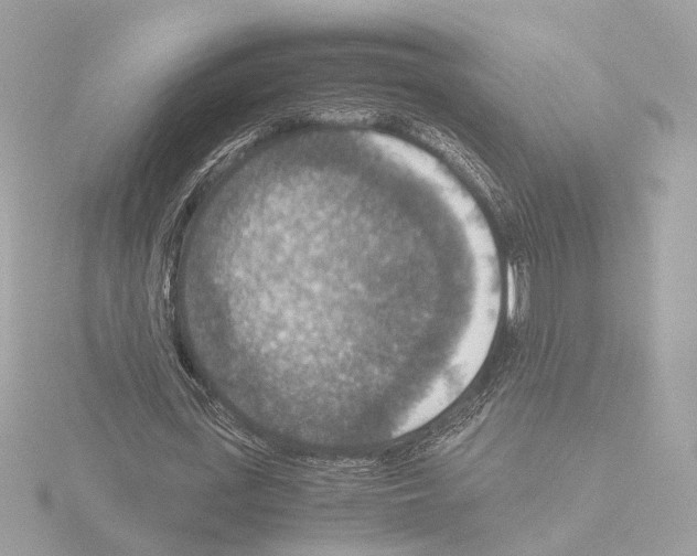 X0000115510723200912181444