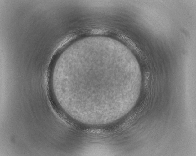 X0000115510730200912181444