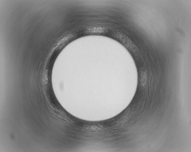 X0000115510731200912181444