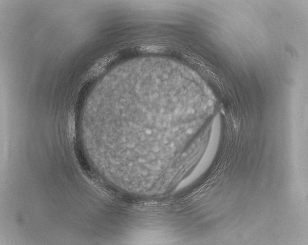 X0000115510734200912181444