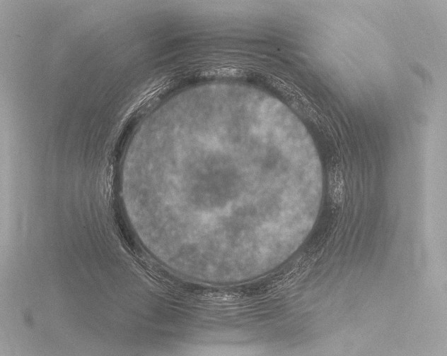 X0000115510735200912181444