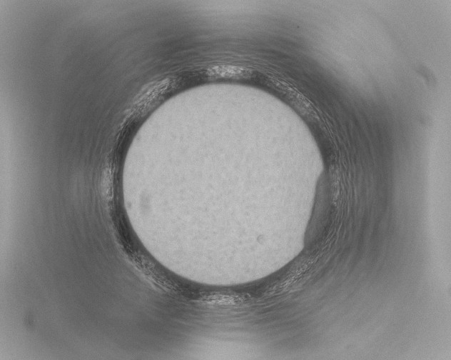 X0000115510738200912181444