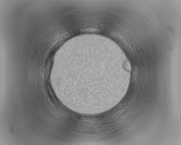 X0000115510739200912181444