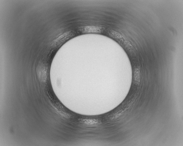 X0000115510741200912181444