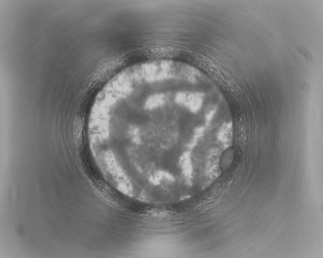 X0000115510742200912181444