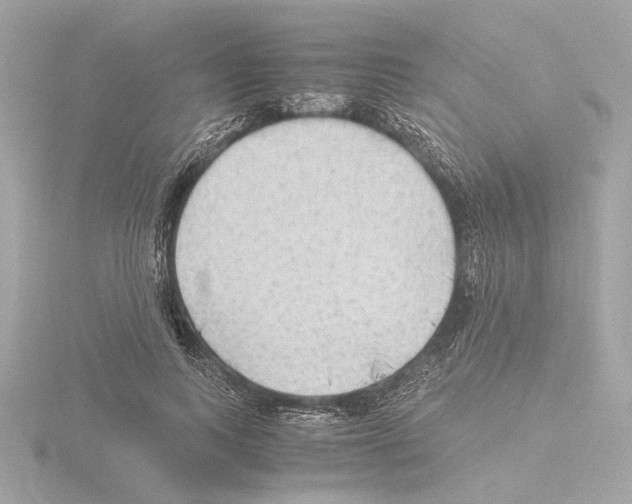 X0000115510743200912181444