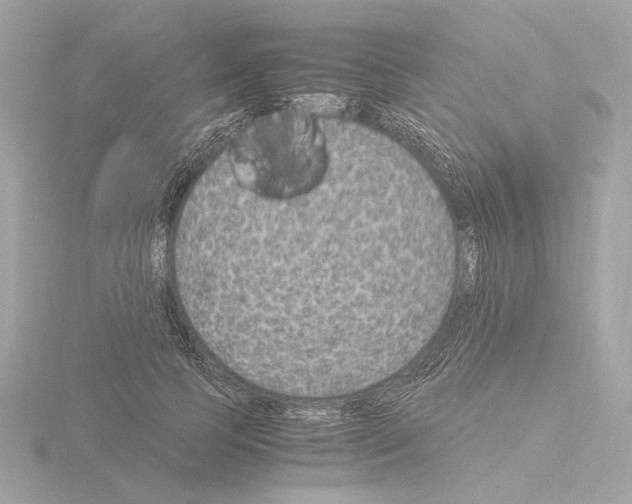 X0000115510745200912181444