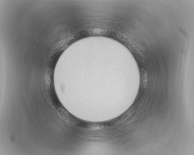 X0000115510746200912181444