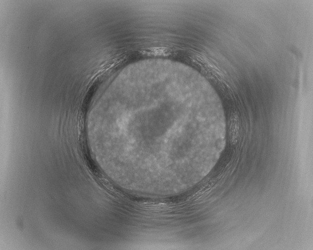 X0000115510747200912181444