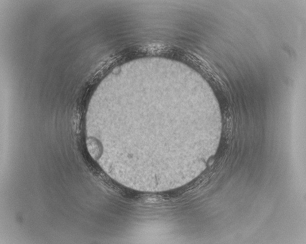 X0000115510750200912181444