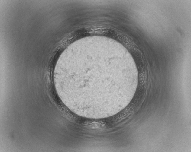 X0000115510755200912181445