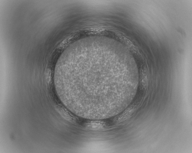 X0000115510758200912181445