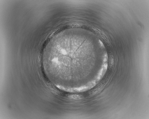 X0000115510759200912181445