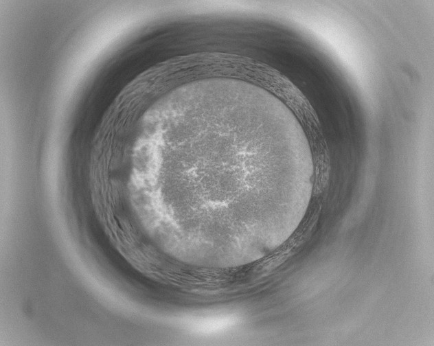 X0000115510765200912181445