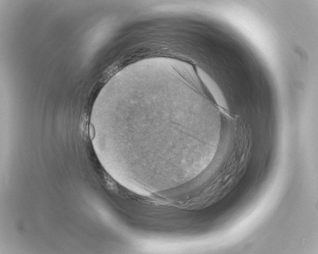 X0000115510766200912181445