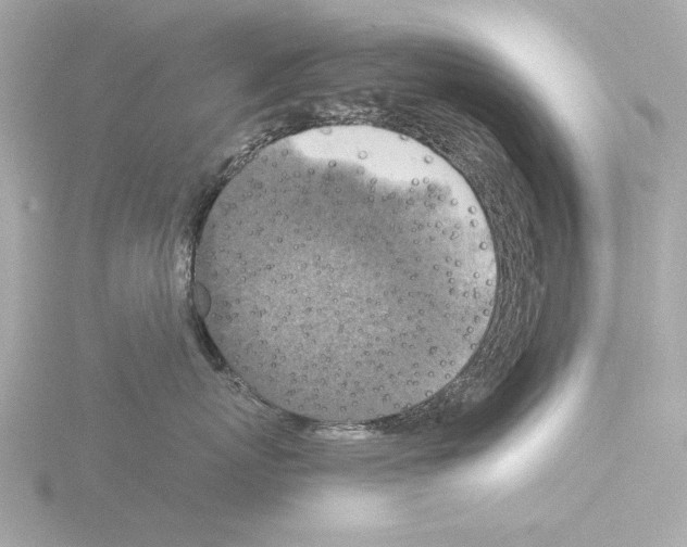 X0000115510767200912181445