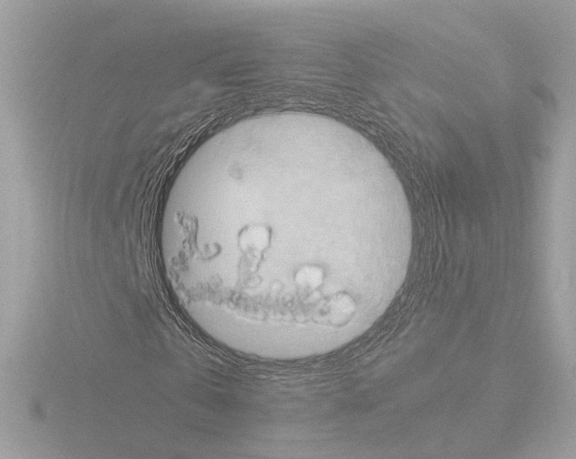 X0000115510769200912181444