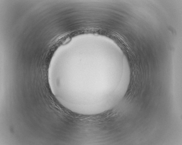 X0000115510773200912181444