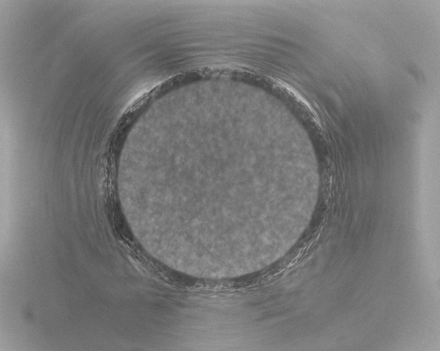 X0000115510775200912181444