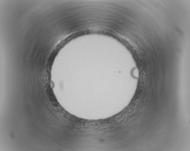 X0000115510776200912181444