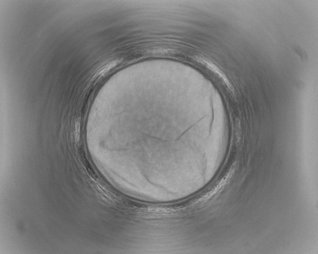 X0000115510777200912181444