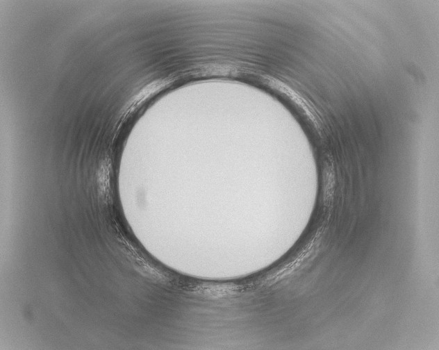 X0000115510778200912181444