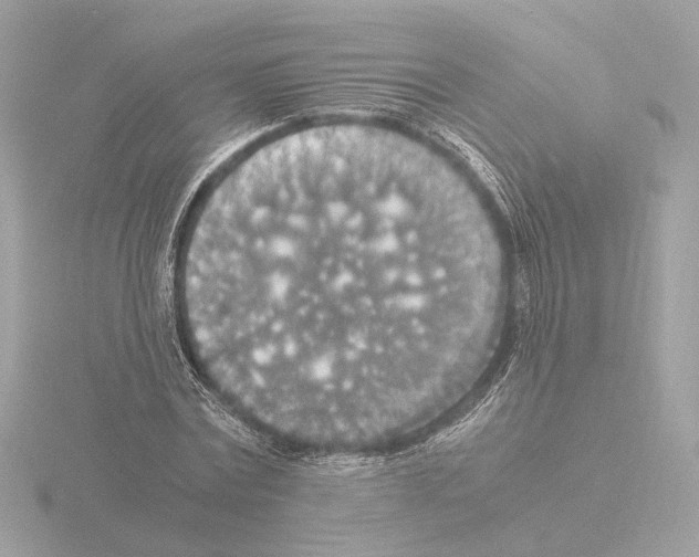 X0000115510779200912181444