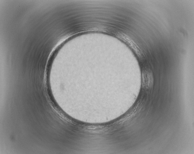 X0000115510780200912181444