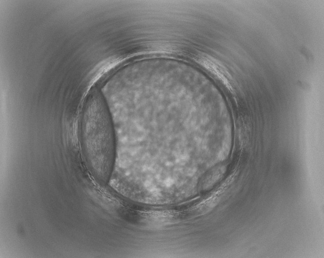 X0000115510781200912181444