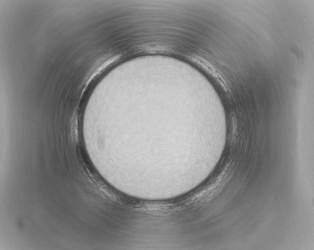 X0000115510782200912181444