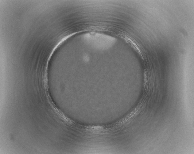 X0000115510784200912181444