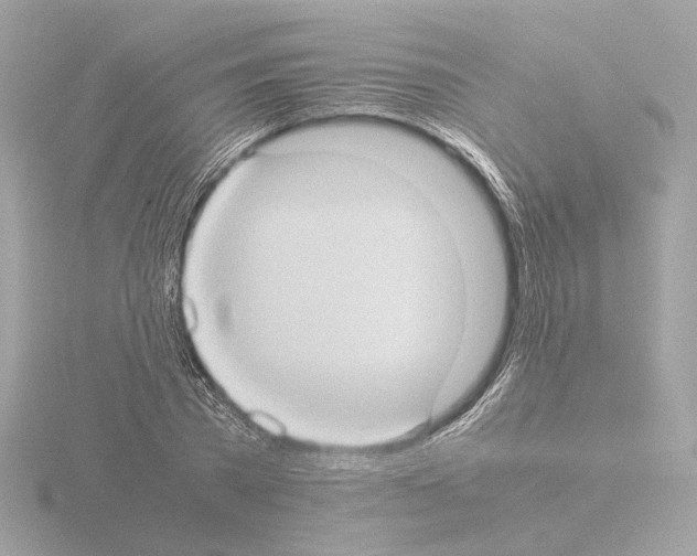 X0000115510785200912181444