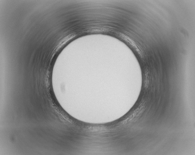 X0000115510786200912181444