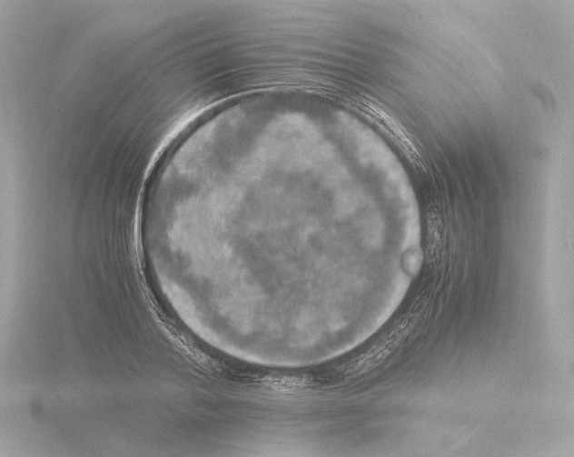 X0000115510788200912181444