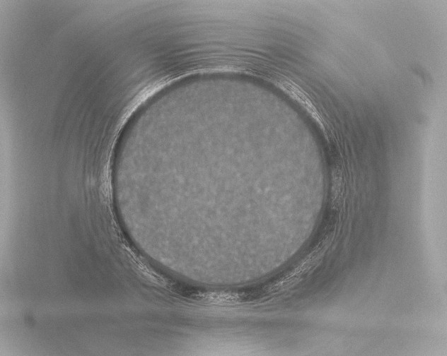 X0000115510789200912181444