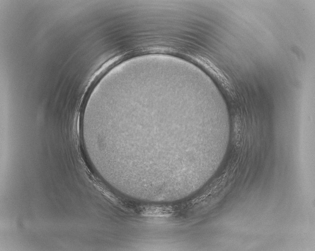 X0000115510790200912181444