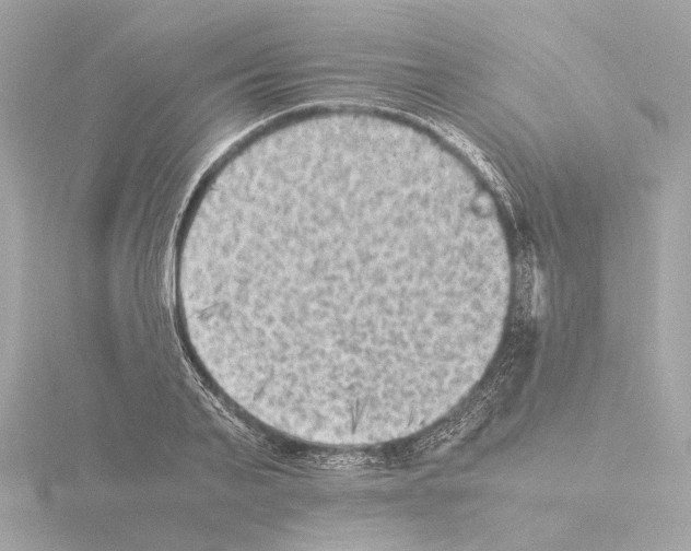 X0000115510791200912181444