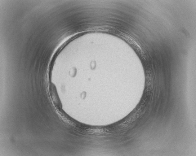 X0000115510792200912181444