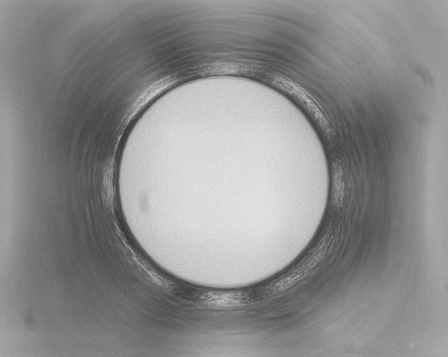 X0000115510794200912181444